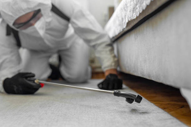 Professional Termite Control technician working in Scissors, TX